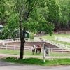 Summer Horsemanship Riding Programs